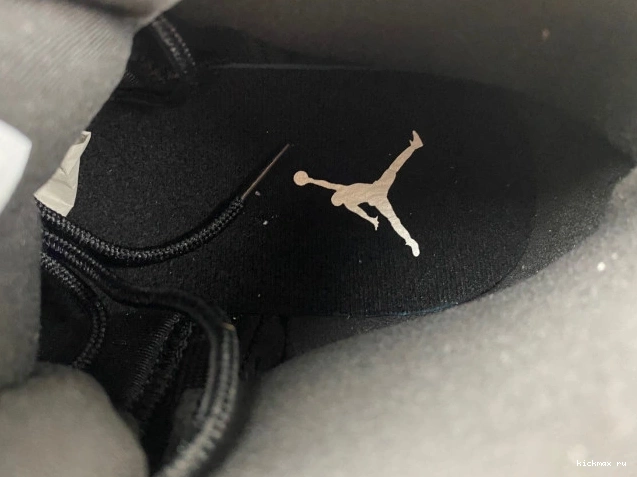Rep MAX Black Air Grey Wolf 12 CT8013-019 Jordan 0718